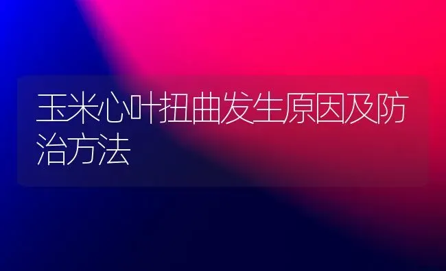 玉米心叶扭曲发生原因及防治方法 | 粮油作物种植