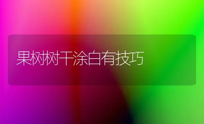 果树树干涂白有技巧 | 瓜果种植