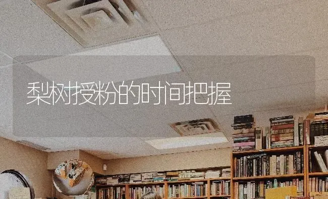 梨树授粉的时间把握 | 瓜果种植