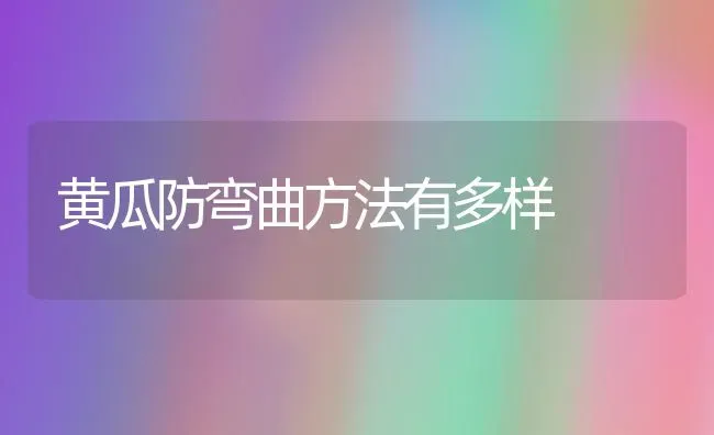 黄瓜防弯曲方法有多样 | 蔬菜种植