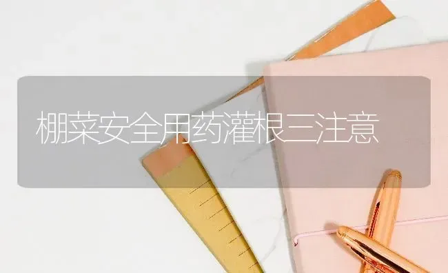 根芥菜病虫害防治 | 种植病虫害防治