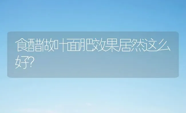 食醋做叶面肥效果居然这么好？ | 瓜果种植