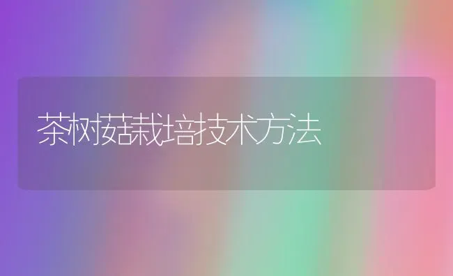 茶树菇栽培技术方法 | 食用菌种植