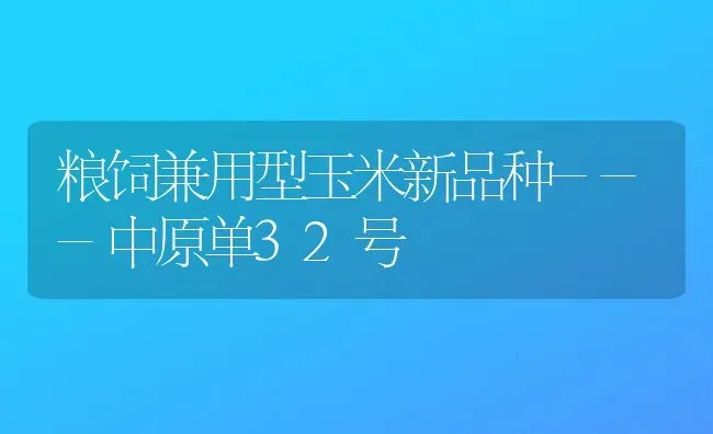 粮饲兼用型玉米新品种---中原单32号 | 粮油作物种植