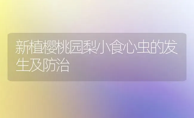 新植樱桃园梨小食心虫的发生及防治 | 瓜果种植