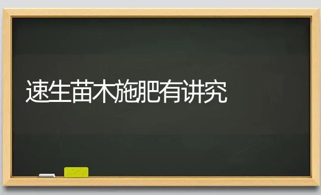 速生苗木施肥有讲究 | 种植肥料施肥