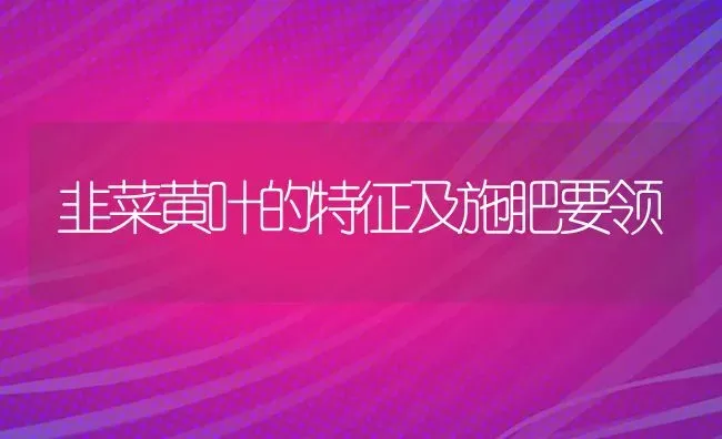 韭菜黄叶的特征及施肥要领 | 种植肥料施肥