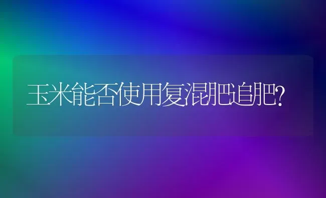 玉米能否使用复混肥追肥？ | 粮油作物种植