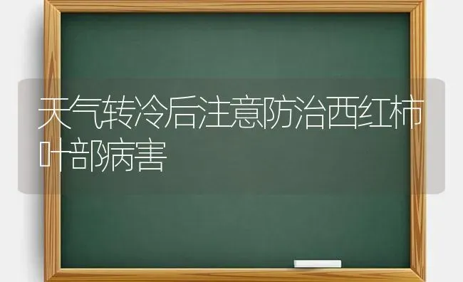 天气转冷后注意防治西红柿叶部病害 | 蔬菜种植