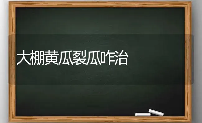 大棚黄瓜裂瓜咋治 | 蔬菜种植