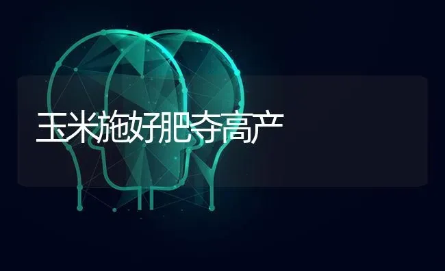 玉米施好肥夺高产 | 粮油作物种植