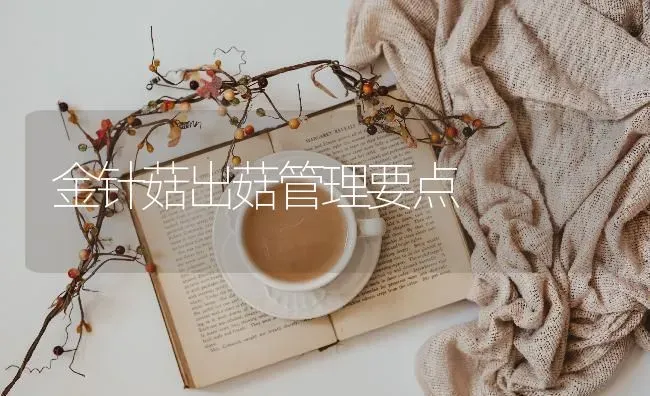 金针菇出菇管理要点 | 食用菌种植