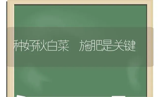 种好秋白菜 施肥是关键 | 种植肥料施肥