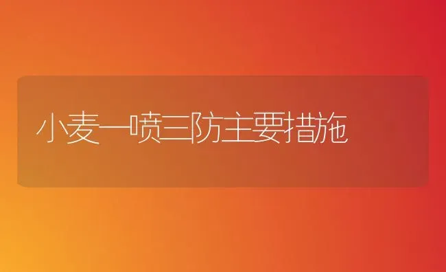 小麦一喷三防主要措施 | 粮油作物种植