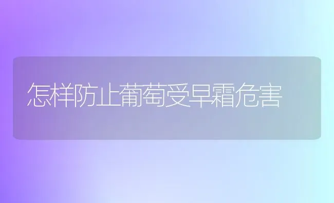 怎样防止葡萄受早霜危害 | 瓜果种植