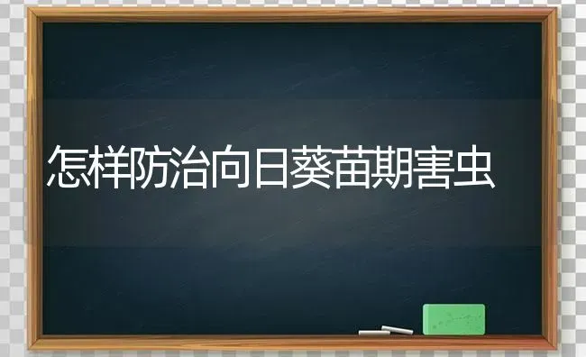 怎样防治向日葵苗期害虫 | 粮油作物种植