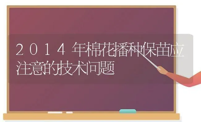 2014年棉花播种保苗应注意的技术问题 | 粮油作物种植