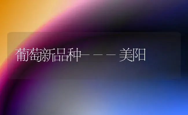 葡萄新品种---美阳 | 瓜果种植