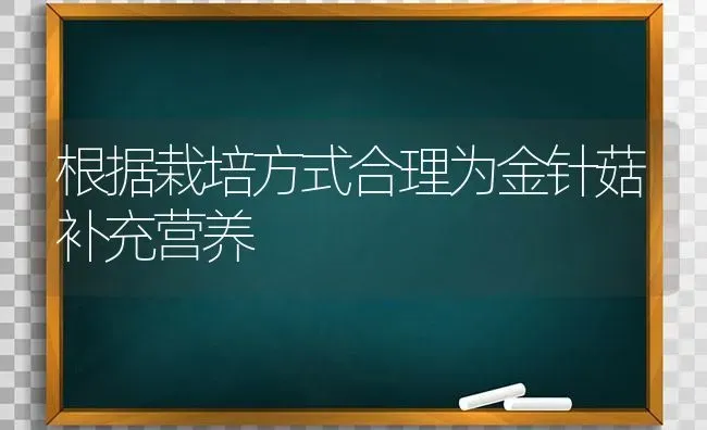 根据栽培方式合理为金针菇补充营养 | 食用菌种植