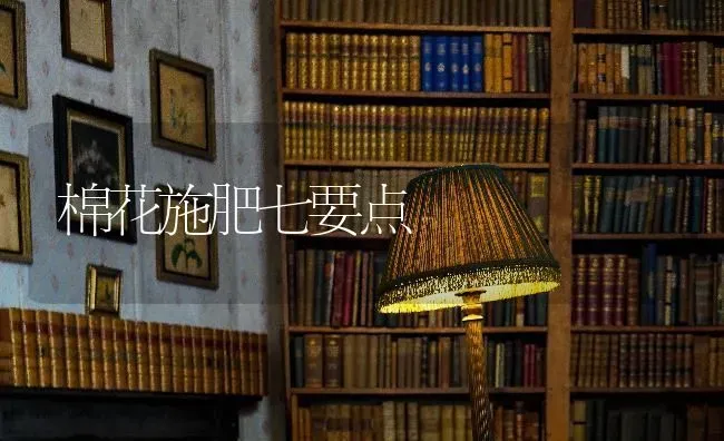 棉花施肥七要点 | 种植肥料施肥