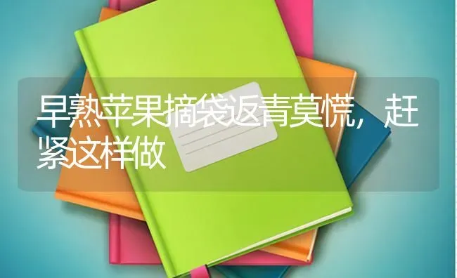 早熟苹果摘袋返青莫慌，赶紧这样做 | 瓜果种植