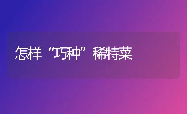 怎样“巧种”稀特菜 | 蔬菜种植