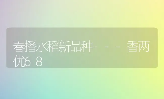 天气久阴乍晴后谨防西红柿煤污病 | 蔬菜种植
