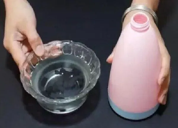 植物浇水|蚊香泡水可以浇花吗