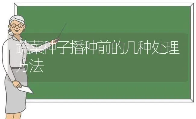 蔬菜种子播种前的几种处理方法 | 蔬菜种植