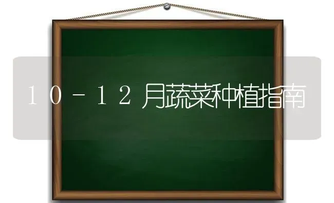 10-12月蔬菜种植指南 | 蔬菜种植