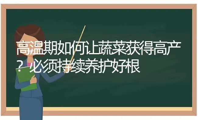 高温期如何让蔬菜获得高产？必须持续养护好根 | 蔬菜种植