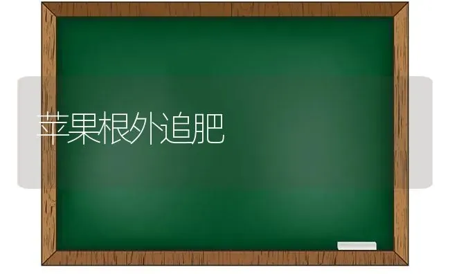 苹果根外追肥 | 瓜果种植