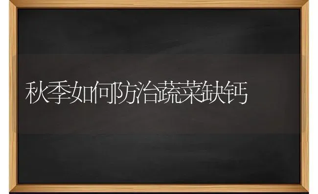 秋季如何防治蔬菜缺钙 | 蔬菜种植