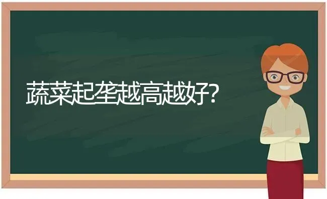 蔬菜起垄越高越好？ | 蔬菜种植