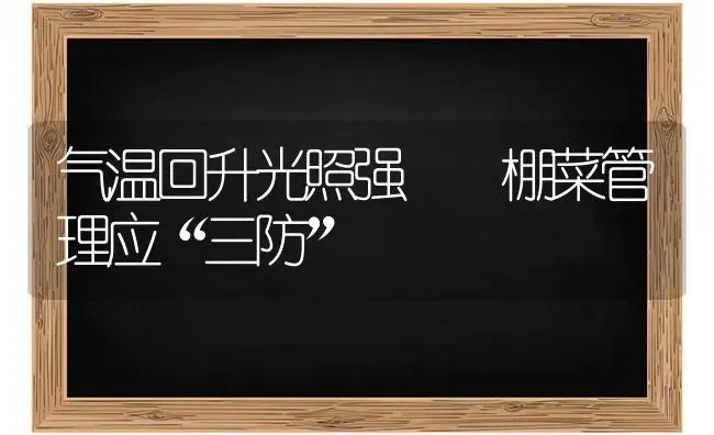 气温回升光照强  棚菜管理应“三防” | 蔬菜种植