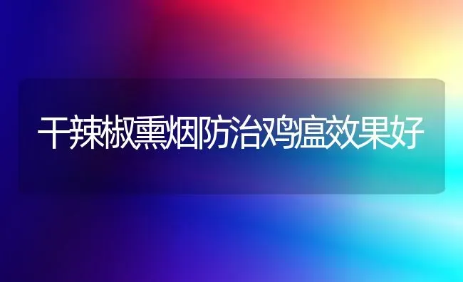 干辣椒熏烟防治鸡瘟效果好 | 瓜果种植