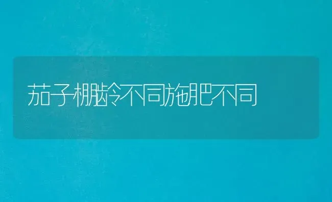 茄子棚龄不同施肥不同 | 种植肥料施肥