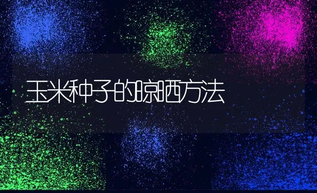 玉米种子的晾晒方法 | 粮油作物种植