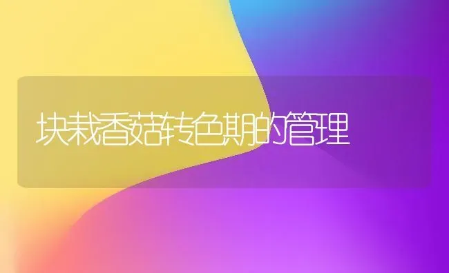 块栽香菇转色期的管理 | 食用菌种植