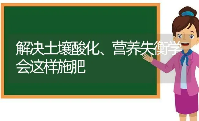 解决土壤酸化、营养失衡学会这样施肥 | 种植肥料施肥