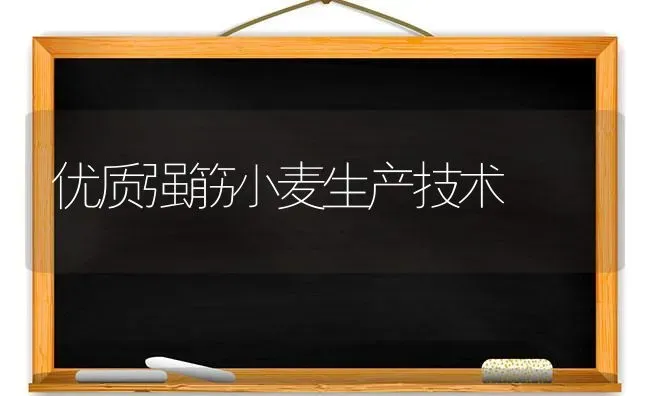 优质强筋小麦生产技术 | 粮油作物种植