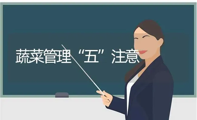 蔬菜管理“五”注意 | 蔬菜种植