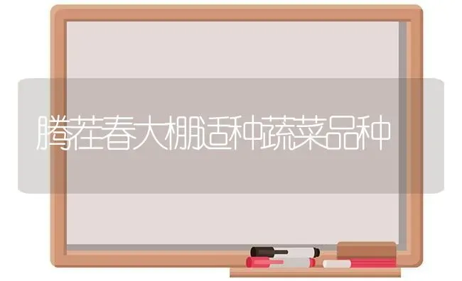 腾茬春大棚适种蔬菜品种 | 蔬菜种植