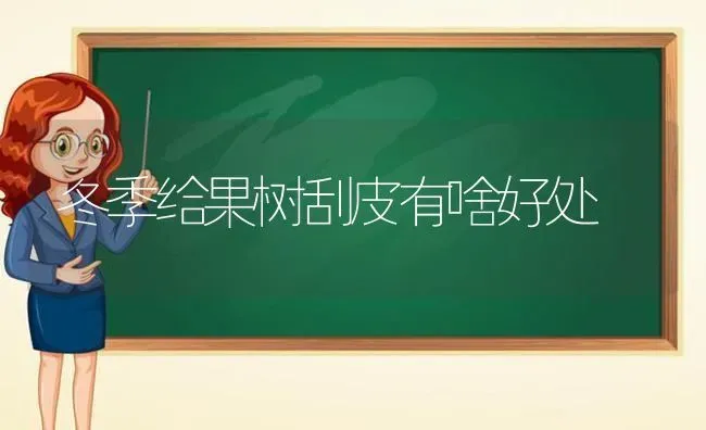 冬季给果树刮皮有啥好处 | 瓜果种植