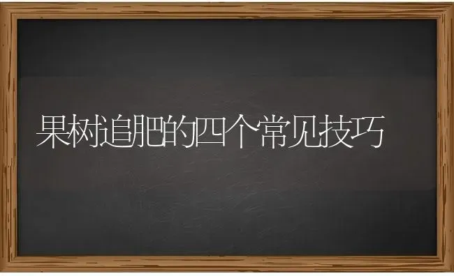 果树追肥的四个常见技巧 | 瓜果种植