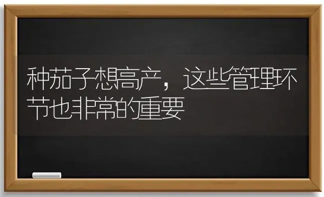 种茄子想高产，这些管理环节也非常的重要 | 蔬菜种植