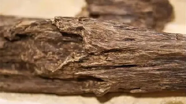 植物百科|奇楠沉香的用途及价值（正宗三年的奇楠沉香木市场价）