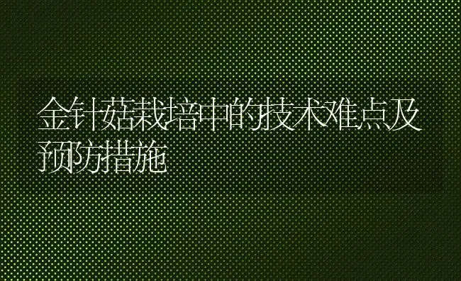 金针菇栽培中的技术难点及预防措施 | 食用菌种植