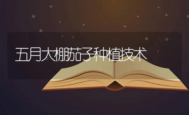 五月大棚茄子种植技术 | 植物种植百科