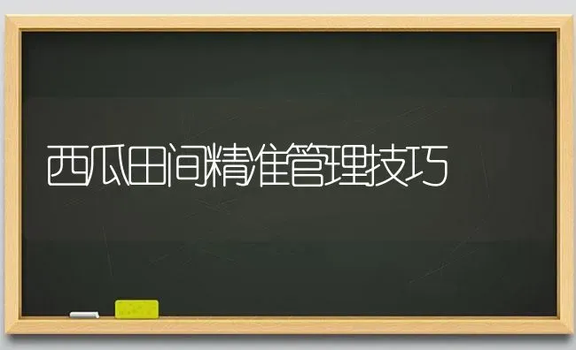 西瓜田间精准管理技巧 | 瓜果种植
